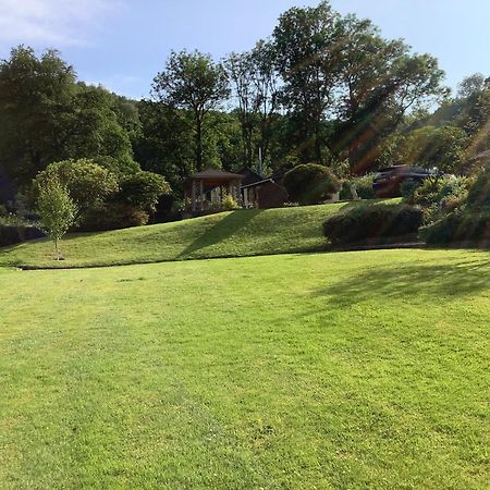 Ty Twt - Complete Holiday Home Llandysul Exterior foto
