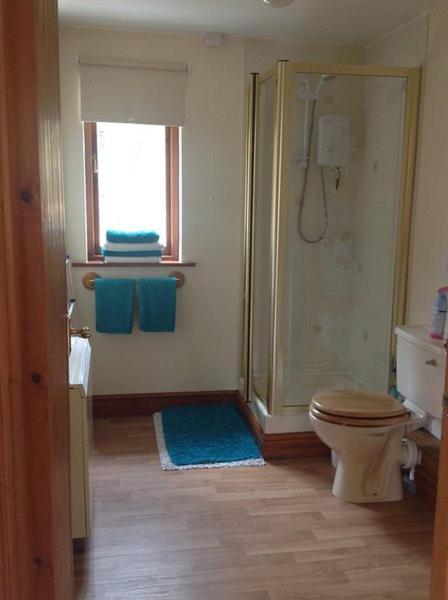 Ty Twt - Complete Holiday Home Llandysul Exterior foto